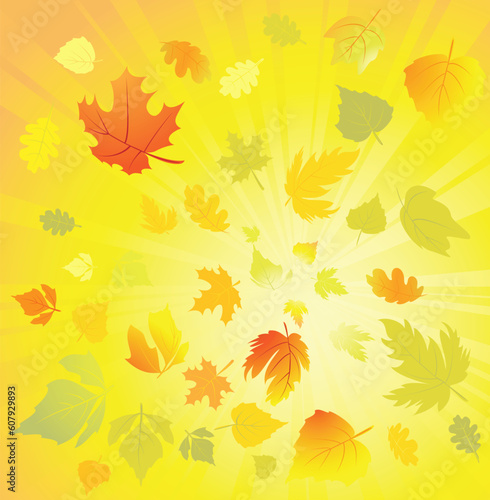 Autumn leaves design elements  vector