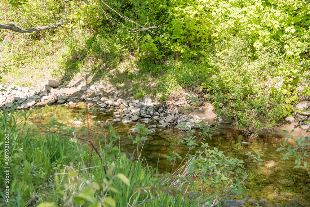 Creek running through the woods Creek running through the woods