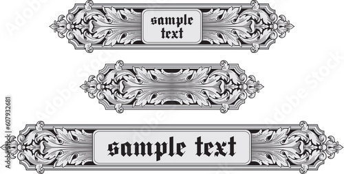 Ornate banner vector