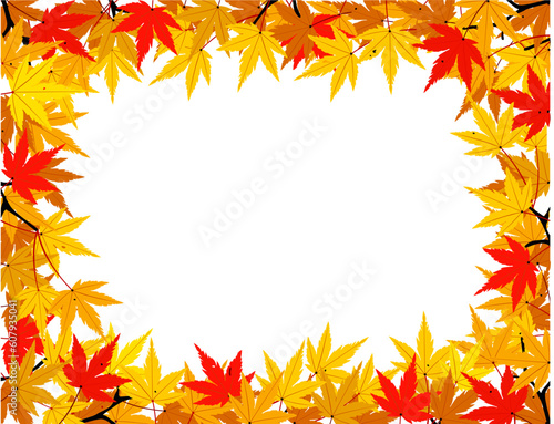 Autumn leaf