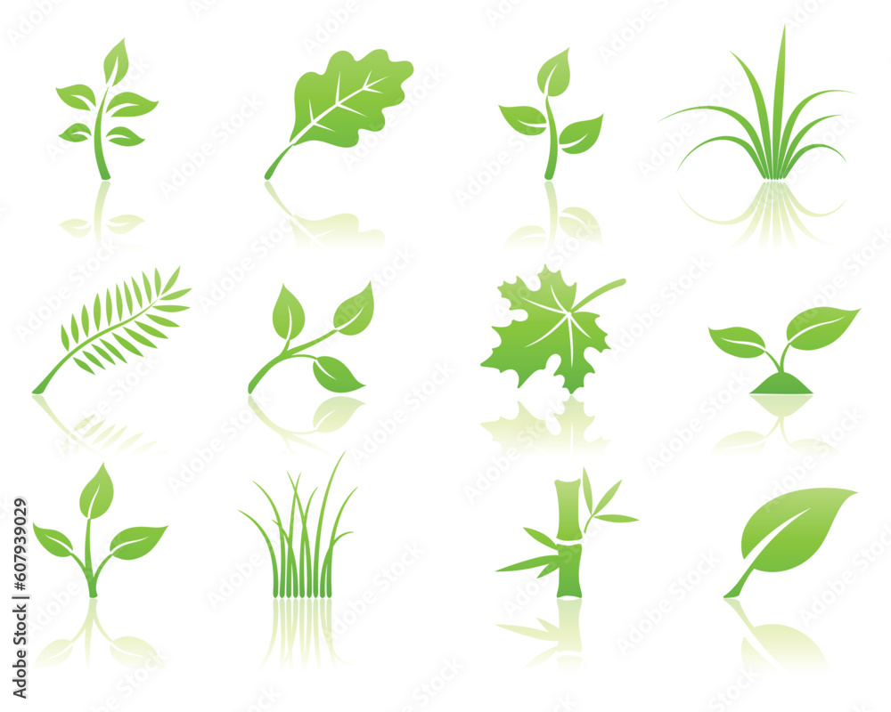 Vector illustration of green ecology nature floral icon set with reflections