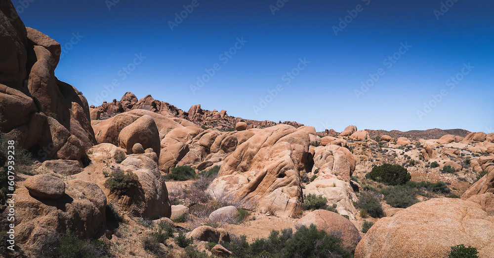 Outdoor lifestyle: Traveling, exploring, camping, and hiking by Jumbo Rocks Campground in Joshua Tree National park, High Desert. Outdoor lifestyle: Traveling, exploring, camping, and hiking by Jumbo Rocks Campground in Joshua Tree National park, High Desert.