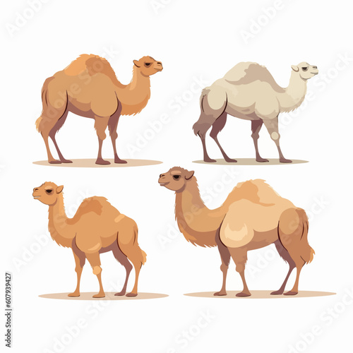 Captivating camel illustrations that transport you to exotic lands.