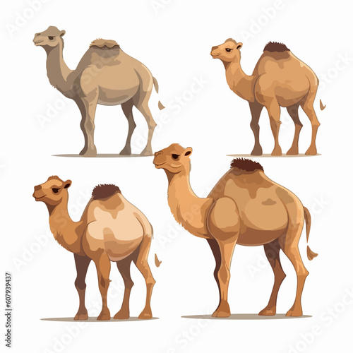 Adorable camel illustrations in a range of sizes and positions.