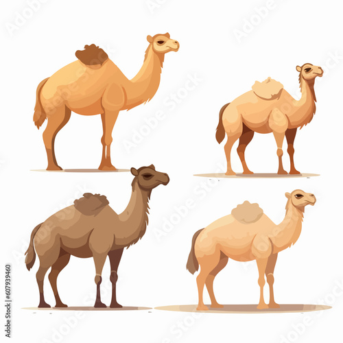 Whimsical camel illustrations capturing their quirky personalities.