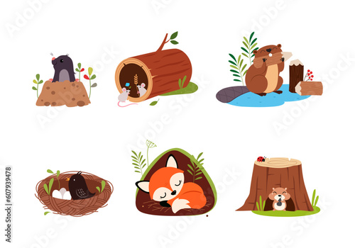 Forest Animal in Their Cozy Home and Burrow Vector Set photo