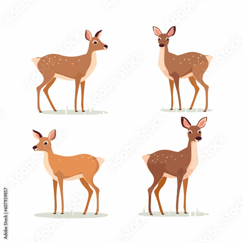 Versatile deer illustrations suitable for branding and logo design  available in vector format.