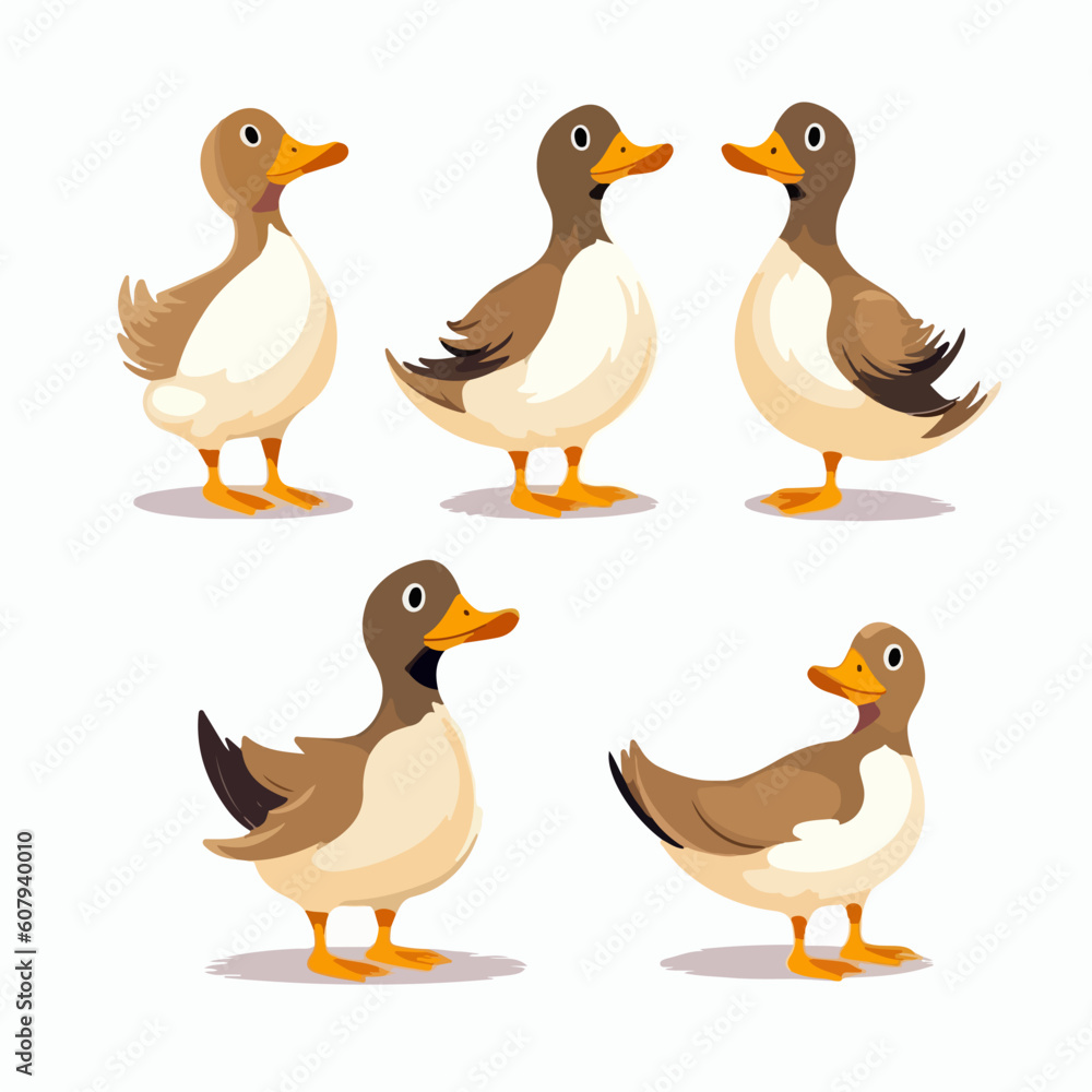 Playful duck illustrations capturing their lively and animated movements.