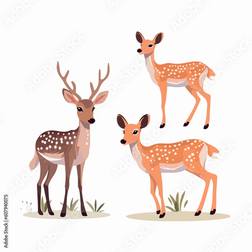Majestic deer illustrations capturing the grandeur of these magnificent creatures.