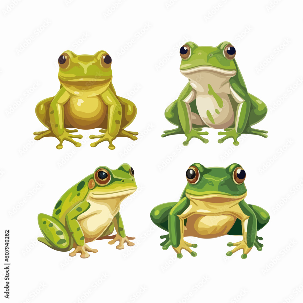 Fototapeta premium Vibrant frog illustrations capturing their lively nature and beauty.