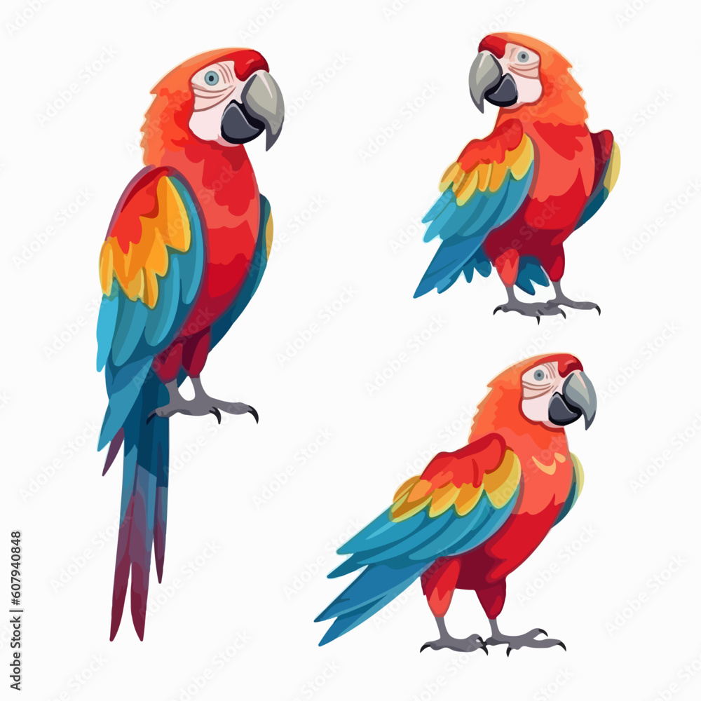 Colorful macaw illustrations in various poses, perfect for tropical themes.