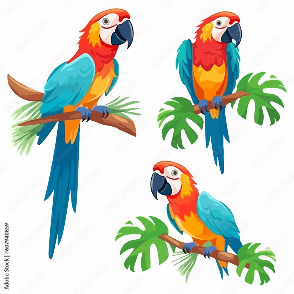 Playful macaw illustrations adding a touch of tropical flair to any project.