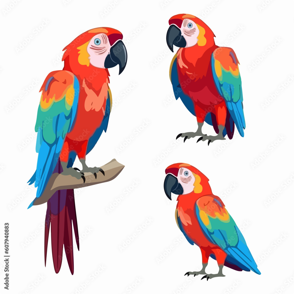 Adaptable macaw illustrations in various positions, perfect for educational materials.