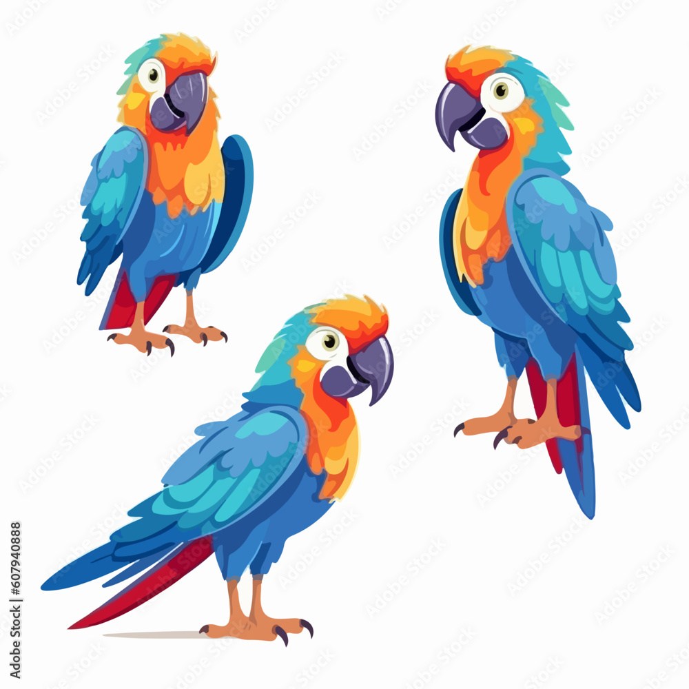 Expressive macaw illustrations showcasing their vibrant personalities.