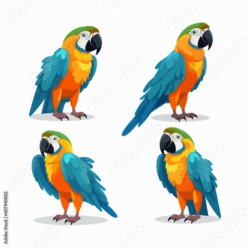 Lively macaw illustrations capturing their lively and energetic nature.