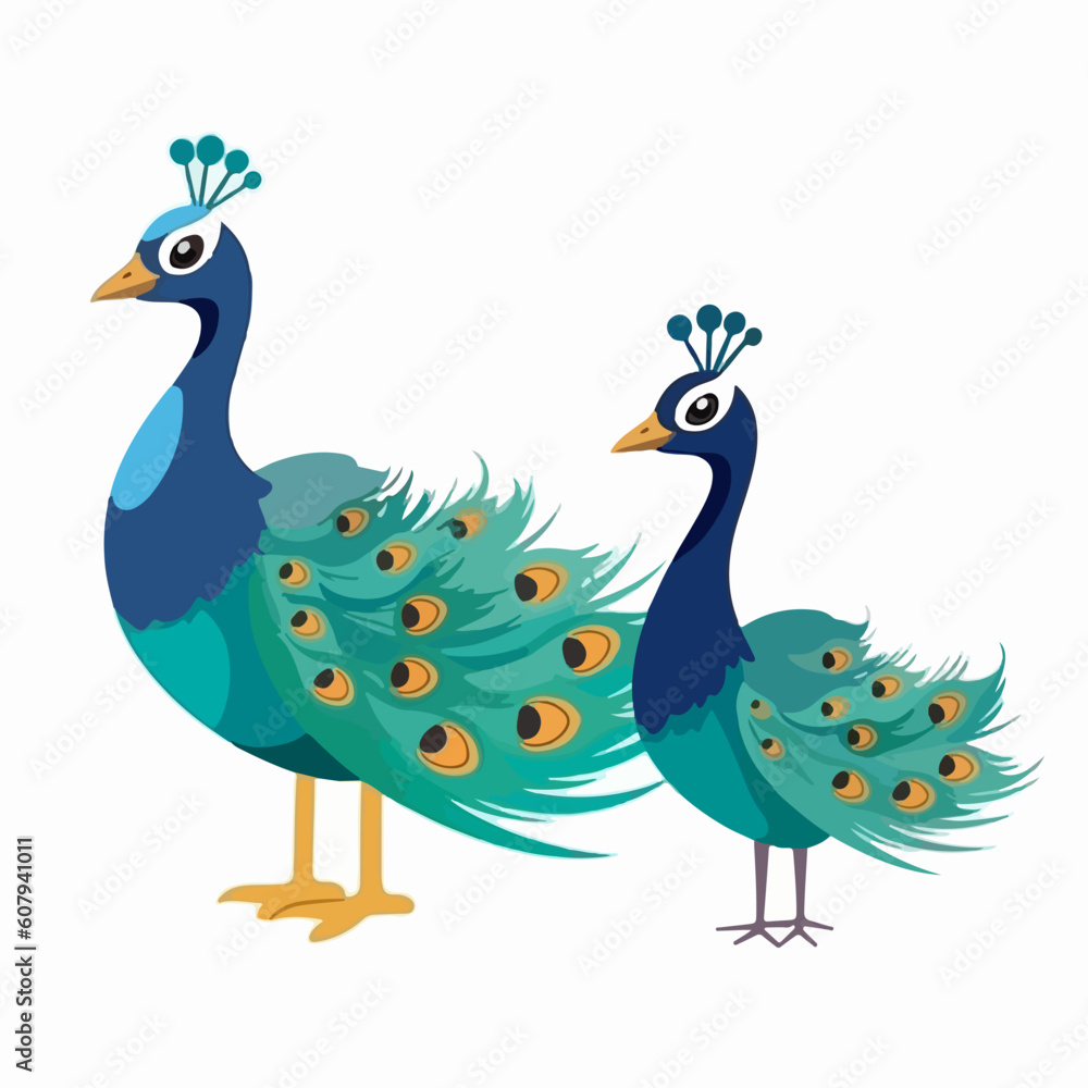 Obraz premium Captivating peacock illustrations in vector format, adding allure to any project.