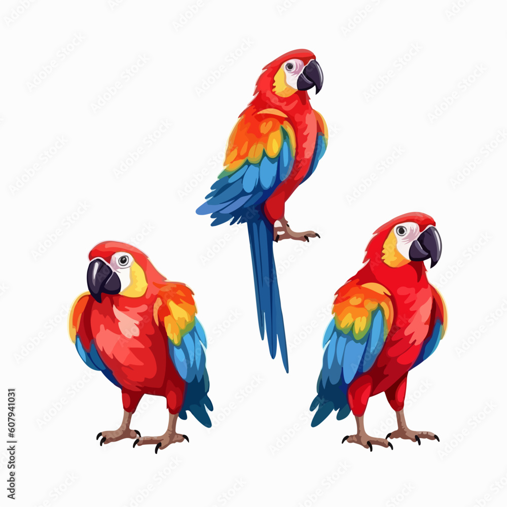 Striking macaw illustrations in different poses, ideal for art prints.