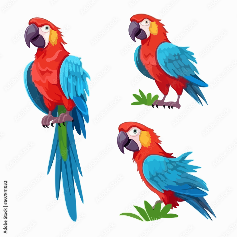 Whimsical macaw illustrations in vector format, adding character to any project.