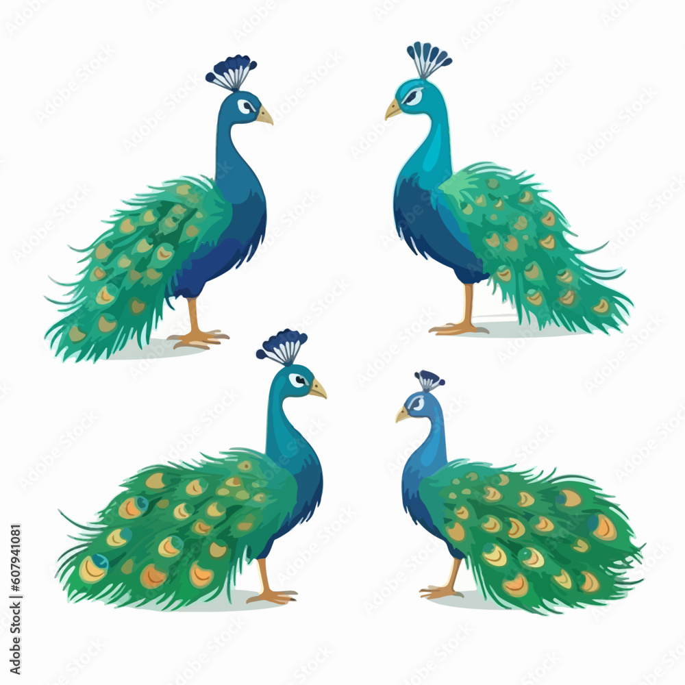 Fototapeta premium Artistic peacock illustrations in vector format, suitable for digital media.
