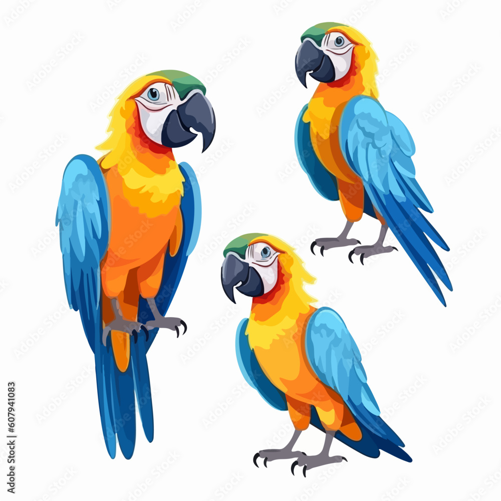 Creative macaw illustrations showcasing their distinctive feathers and features.