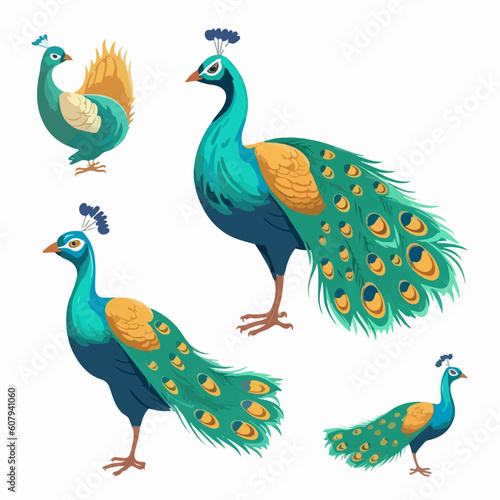 Elegant peacock illustrations in various stances, perfect for stationery design.