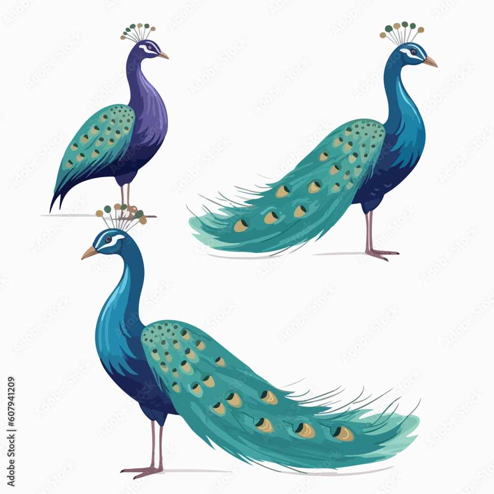 Obraz premium Whimsical peacock illustrations capturing their playful and flamboyant nature.