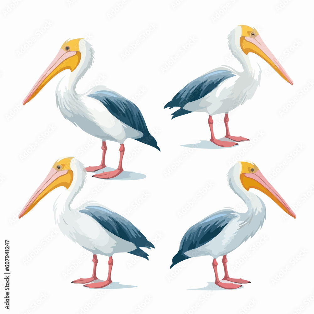 Lively pelican illustrations capturing their agile and fishing behavior. Lively pelican illustrations capturing their agile and fishing behavior.