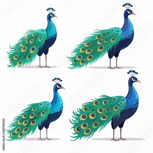 Exquisite peacock illustrations in different poses, ideal for art prints.