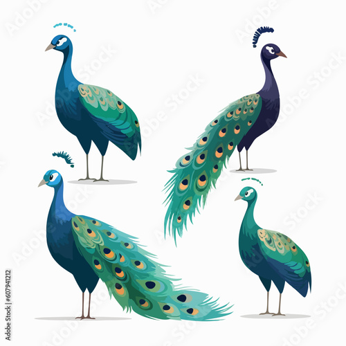 Enchanting peacock illustrations in vector format, suitable for prints.