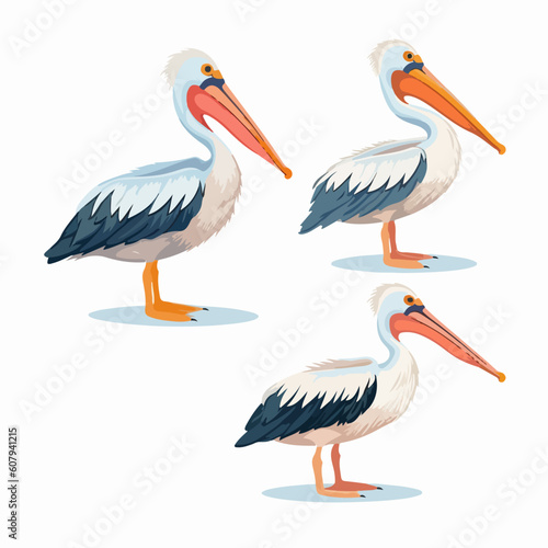 Endearing pelican illustrations in vector format, perfect for children's books.