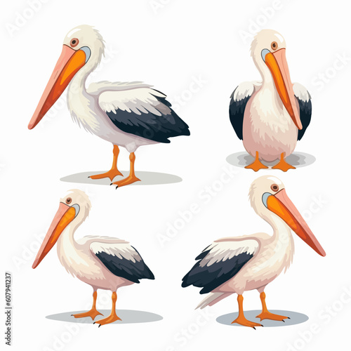Delightful pelican illustrations in different poses, suitable for stationery design.