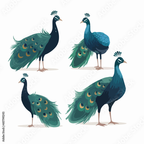 Exotic peacock illustrations in vector format, adding flair to any project.