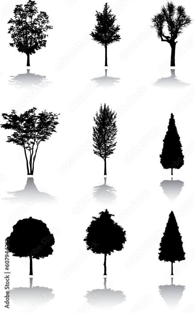 Fototapeta premium Silhouette a tree. Similar images can be found in my gallery.