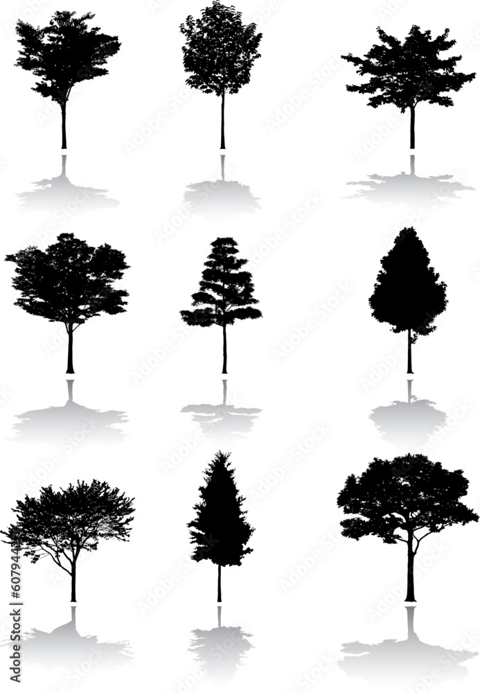 Fototapeta premium Silhouette a tree. Similar images can be found in my gallery.