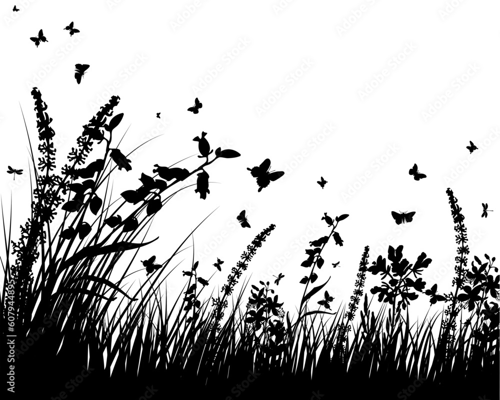 Obraz premium Vector grass silhouettes background. All objects are separated.