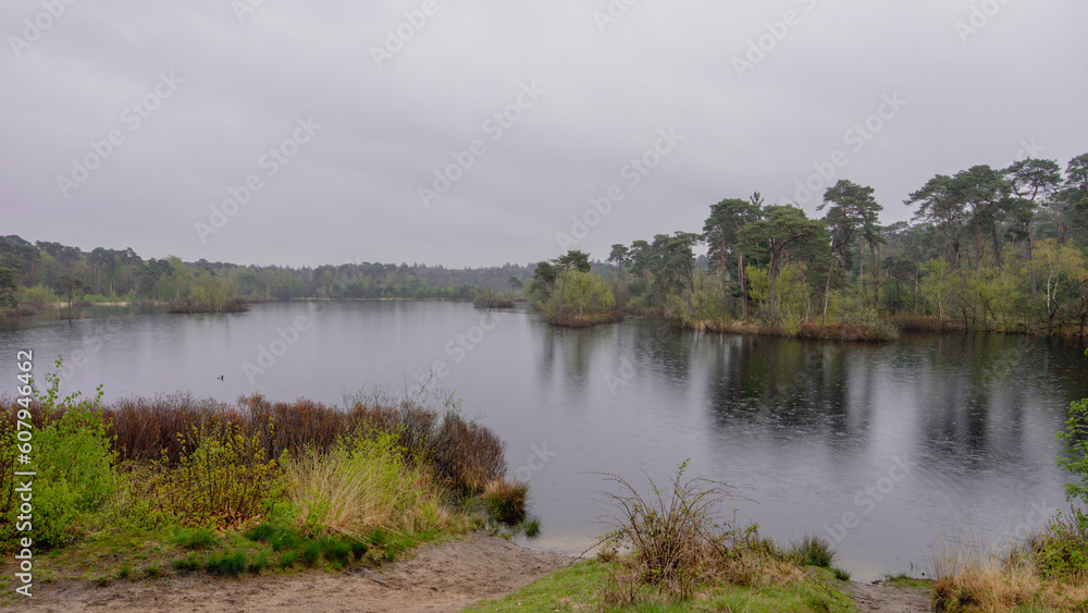 A Tranquil Scene of a Spring Forest Lake under a Cloudy Sky and Raindrops A Tranquil Scene of a Spring Forest Lake under a Cloudy Sky and Raindrops
