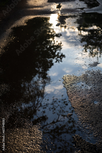 Mirror-clear reflection in a puddle