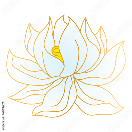 Lotus in oriental style. Chinese and japanese traditional illustration.