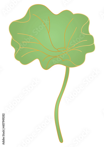 Lotus leaf in oriental style. Chinese and japanese traditional illustration.