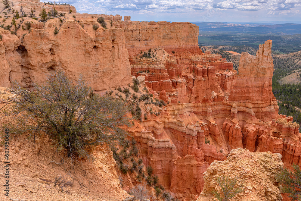 Zion national park landscape in Utah state