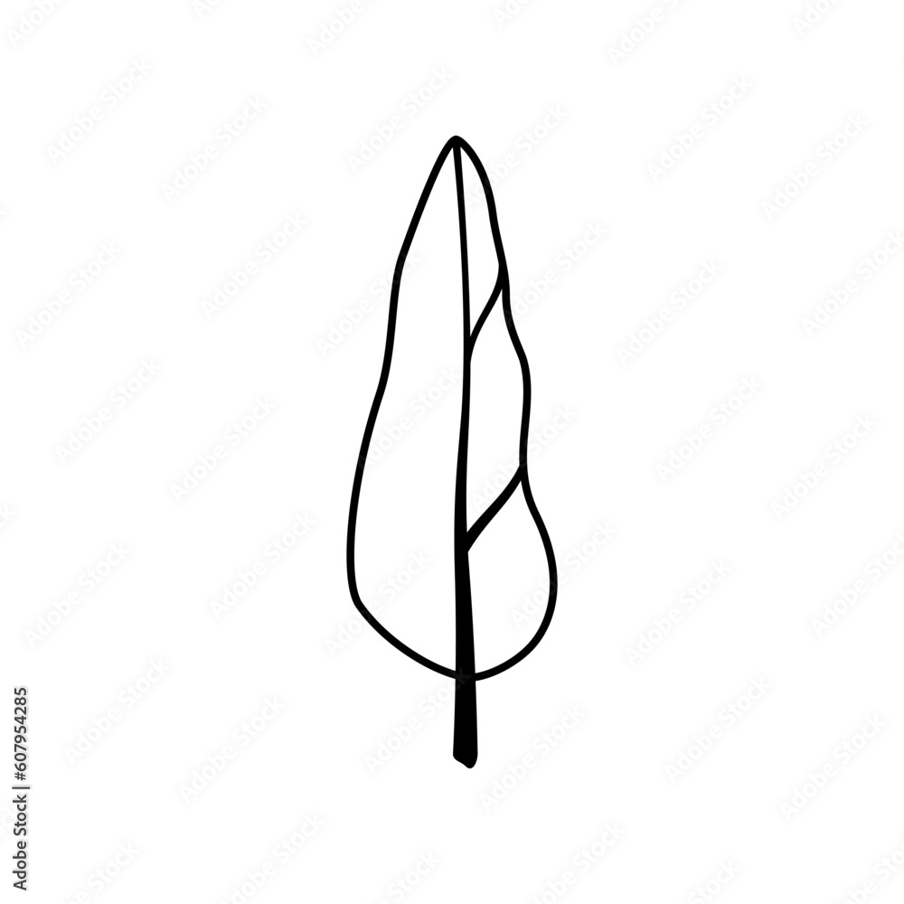 Tall black tree with crown, branch, trunk. Plant silhouette. Clipart. Tall black tree with crown, branch, trunk. Plant silhouette. Clipart.
