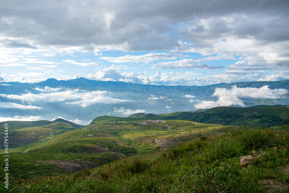 landscape in the summer