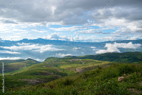 landscape in the summer