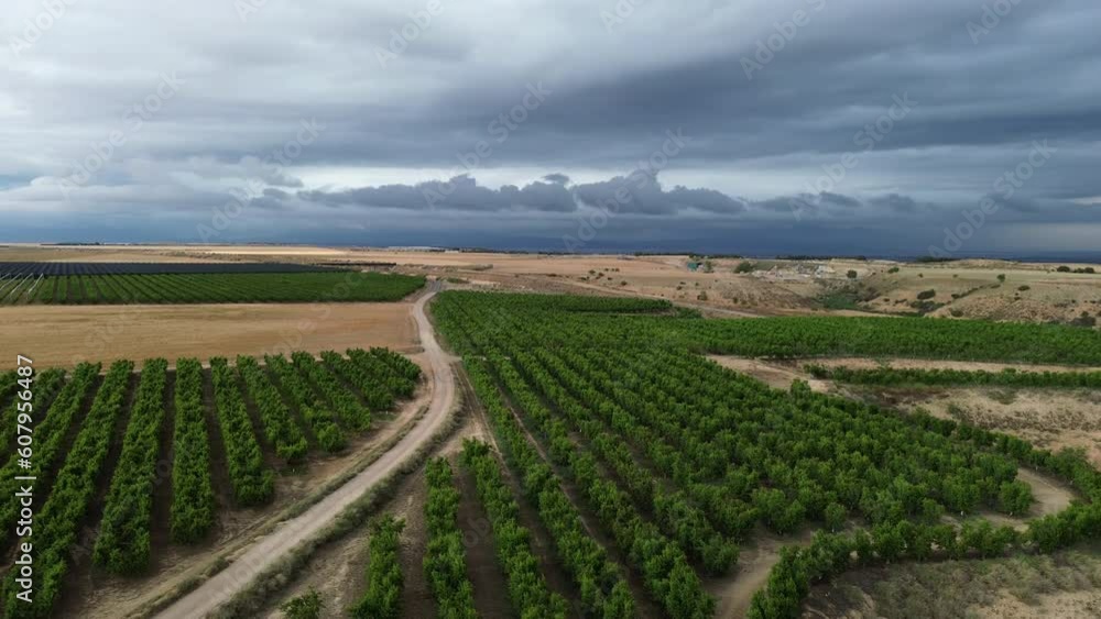 countryside cliff with fruit trees panoramic countryside cliff with fruit trees panoramic