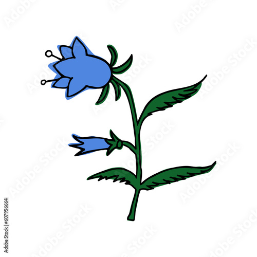 flower vector image. bluebell flower on a white background. eps
