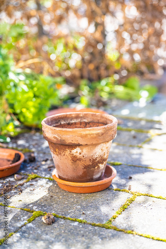 Cheramic plant pot in a backyard.