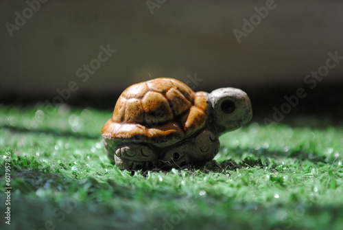 Pequeña tortuga sobre césped iluminada por la luz del sol
