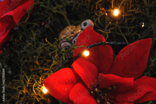 Tortuga decorativa entre luces y flores navideñas rojas