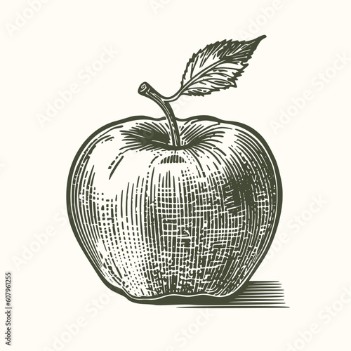 Hand drawn apple. Vintage woodcut engraving style vector illustration.