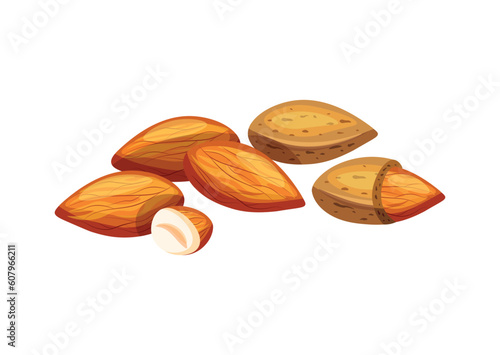 Almond nuts isolated on white background. Vector illustration of delicious whole and half almonds in the shell in cartoon style. Almond icon. Healthy, organic snacks. photo
